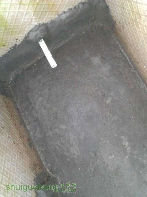 YP20130929071227.jpeg
