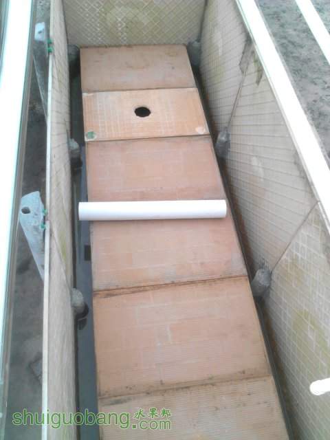 YP20130929105724.jpeg