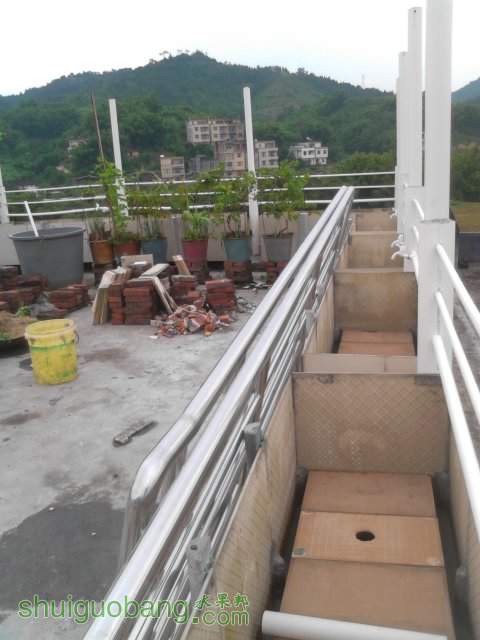YP20130929110616.jpeg
