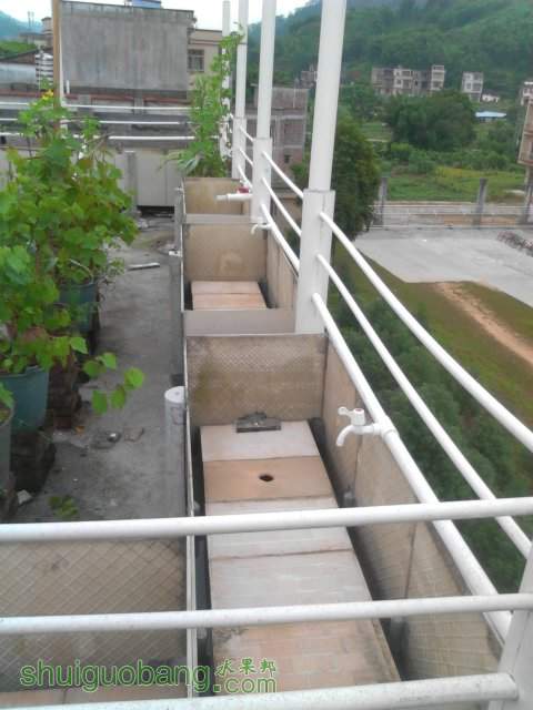 YP20130929110640.jpeg