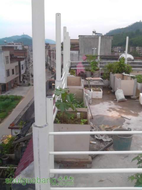 YP20130929110703.jpeg