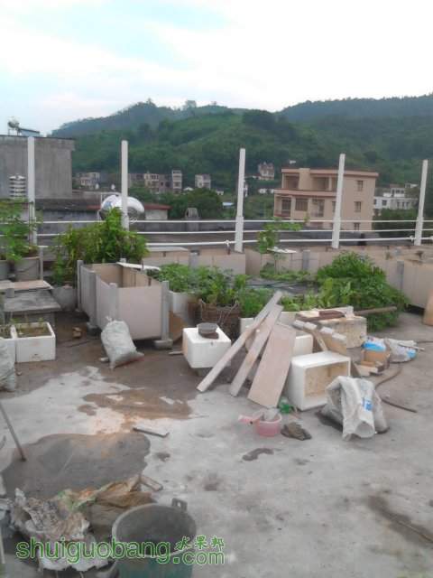 YP20130929110722.jpeg