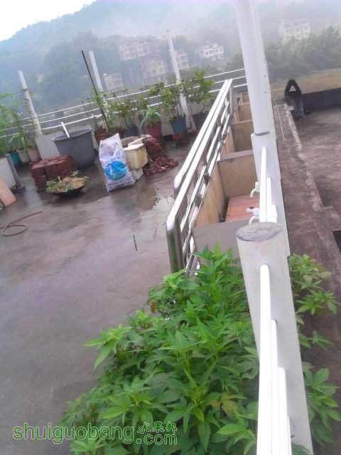 YP20131001072334.jpeg
