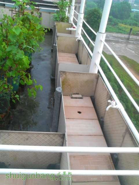 YP20131001072408.jpeg