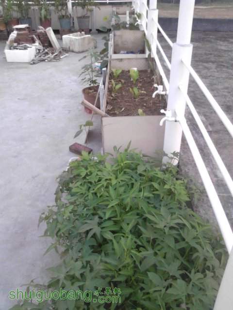 YP20131007181355.jpeg