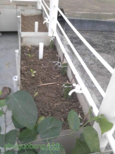 YP20131007181452.jpeg
