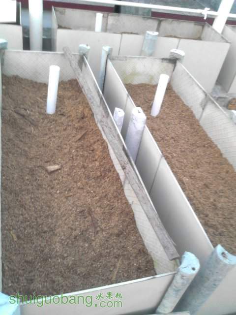 YP20131007181510.jpeg