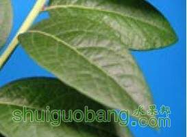 QQͼƬ20131007214902.jpg