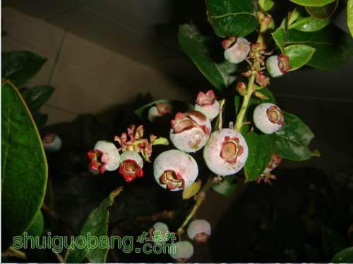 QQͼƬ20131007215126.jpg