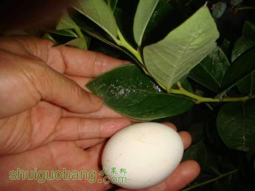 QQͼƬ20131007215130.jpg