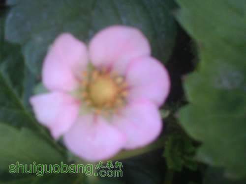 IMG1076A.jpg