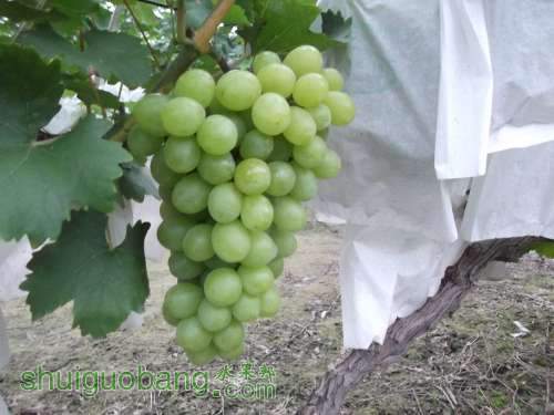 ��Ƭ 022.jpg