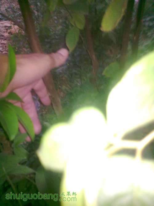 20131008234.jpg