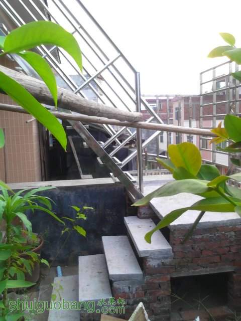 YP20131008163908.jpeg