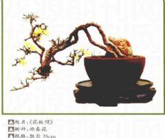 hmss20110408-1-s.jpg
