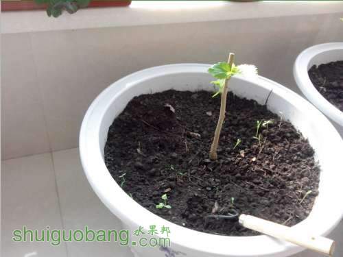 QQͼƬ20131102104930.jpg