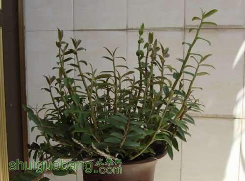 201191515321_0a3893fe.jpg