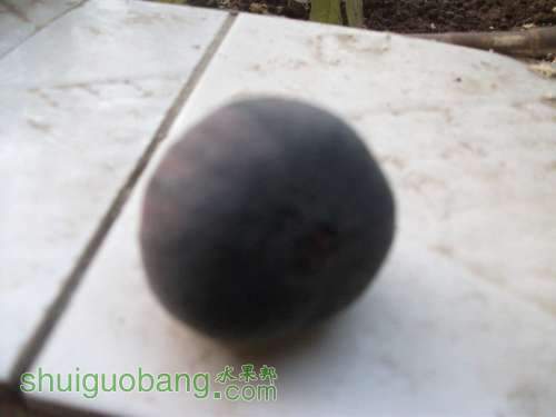Ƭ 003.jpg