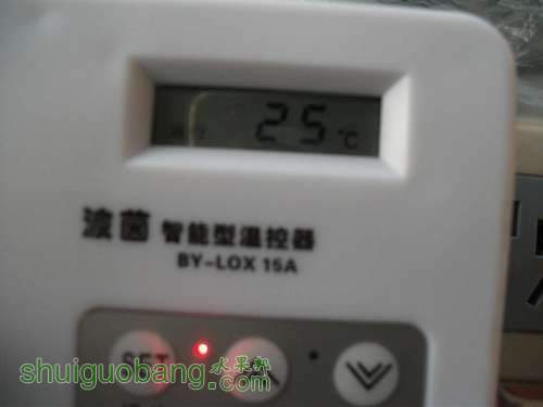 Ƭ 016.jpg