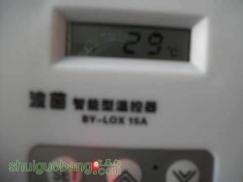 Ƭ 017.jpg