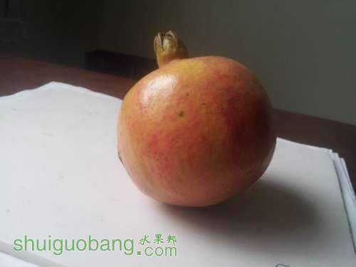 20131103_122911.jpg