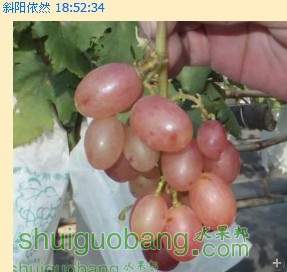 QQͼƬ20131104195327.jpg