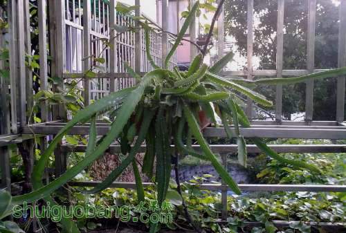 2013.6.26 013.JPG