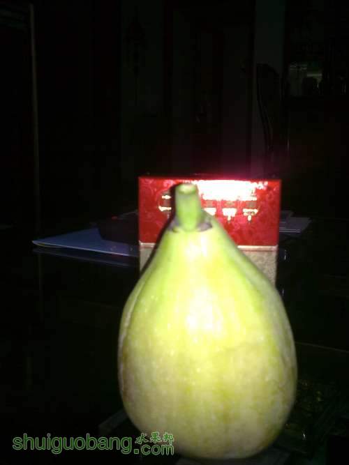 Ƭ 030.jpg
