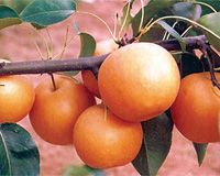 201111062780969.jpg