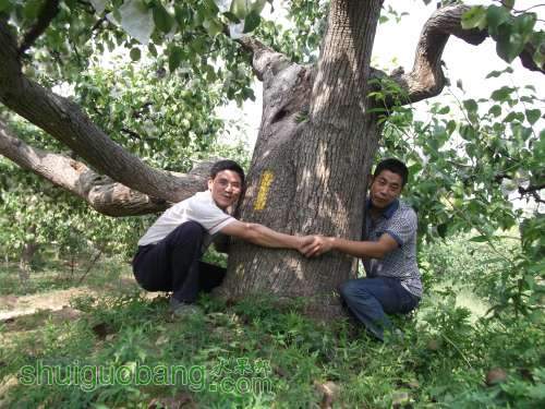 Ƭ 039.jpg