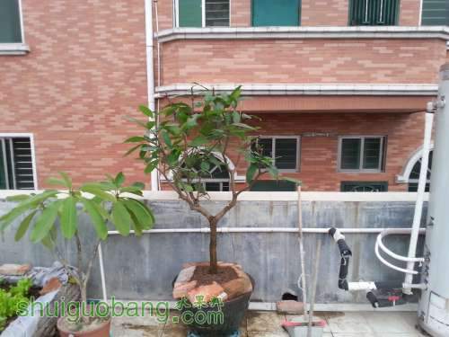 20131108_164533.JPG