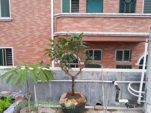 20131108_164529.JPG