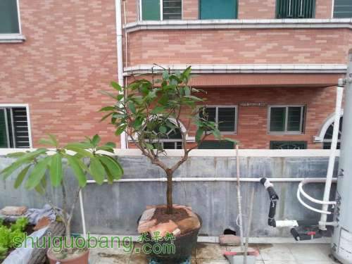 20131108_164535.JPG