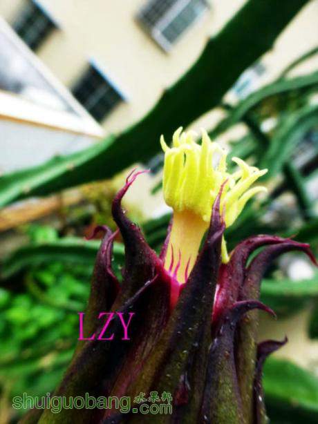 2.޽Ӻˮ09-01D.JPG