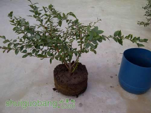 QQͼƬ20131109125756.jpg