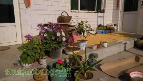 IMG_20131104_134314_С.jpg