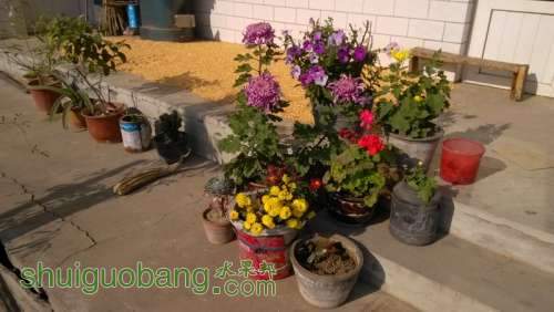 IMG_20131104_134336_С.jpg