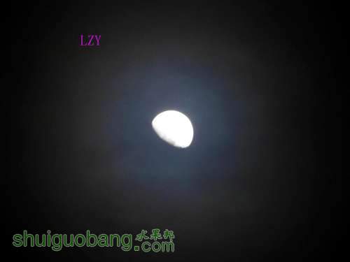 ҹ11-12A.JPG