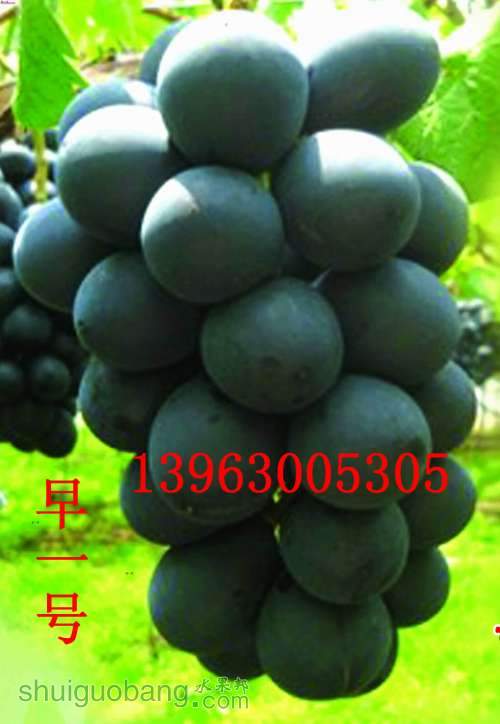 һŸ_meitu_6.jpg