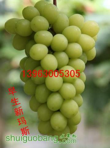 075949oi.jpg