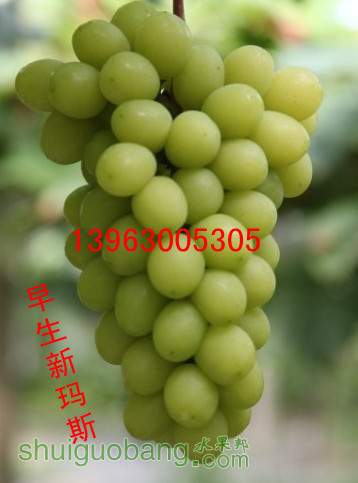 075949oi.jpg