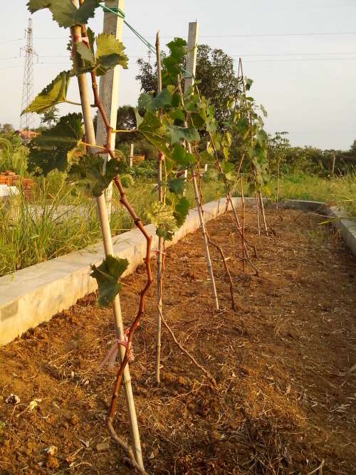 201396ֲˮһ1.jpg