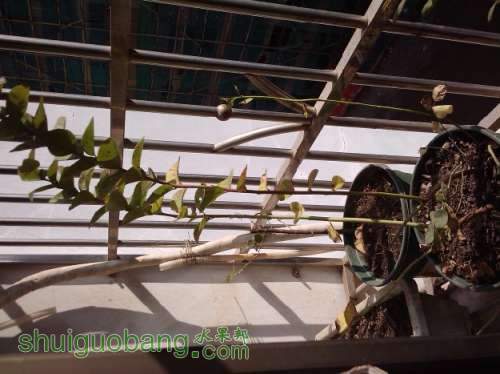 QQ��ͼ20131114200243.jpg