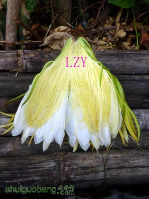 3ڷ07-11CD.JPG