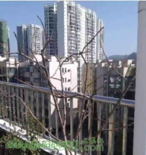 QQͼ20131115233317.jpg