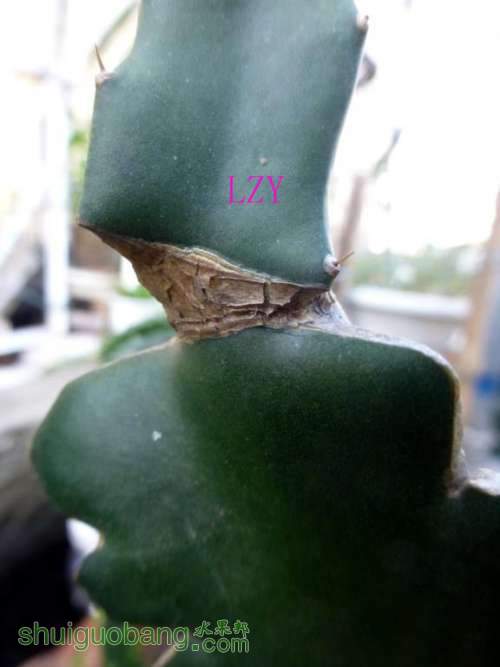 ޽ӿ11-16B.JPG