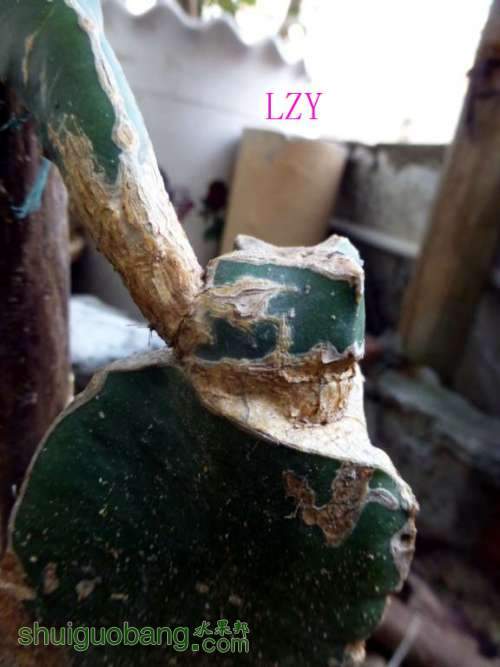 ޽ӿ11-16E.JPG
