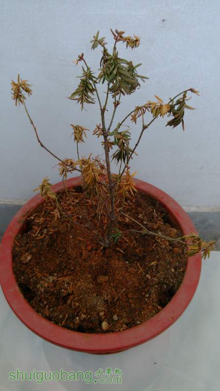 IMG_20131116_161655.jpg