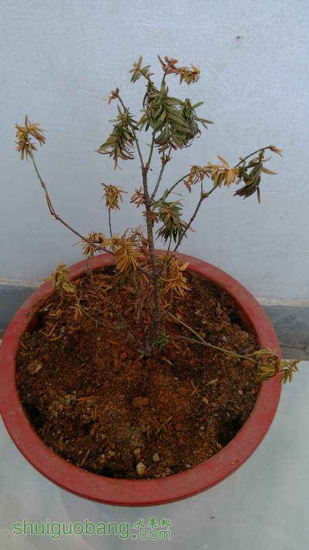 IMG_20131116_161736.jpg