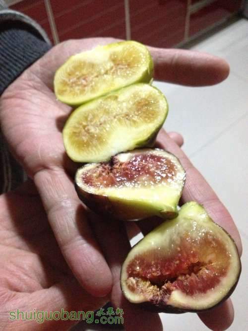 image.jpg